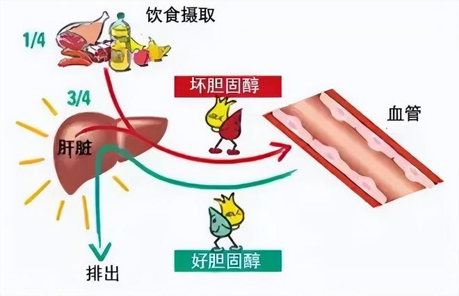 月饼真的无糖吗？j9国际站无糖(图4)